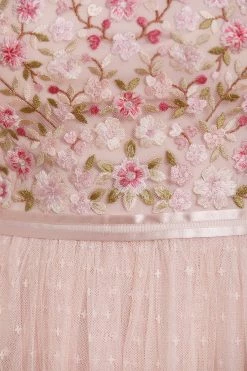 Needle & Thread Holding LTD Rosie Lace Bodice Short Sleeve Round Neck Ballerina Dress All - Womenswear